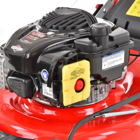 Corta Relva Gasolina HECHT 546 BSW Briggs&Stratton C/Triturador - Corta Relva Gasolina HECHT 546 BSW Briggs&Stratton C/Triturador 